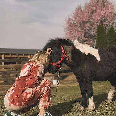 Daire Alpakolandia Gora Szybowcowa *