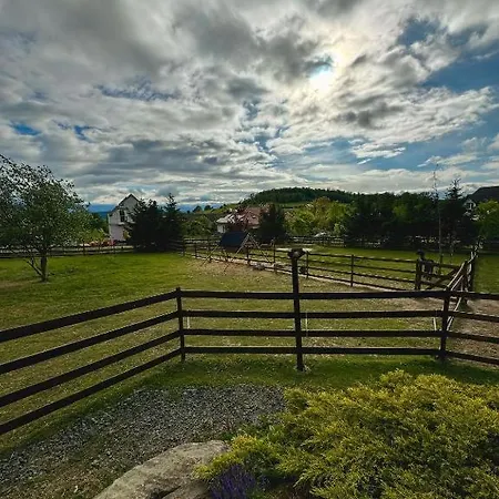 Daire Alpakolandia Gora Szybowcowa Jezow Sudecki