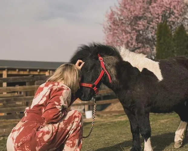 Apartment Alpakolandia Gora Szybowcowa *